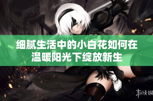 细腻生活中的小白花如何在温暖阳光下绽放新生