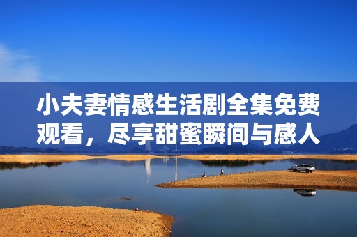 小夫妻情感生活剧全集免费观看，尽享甜蜜瞬间与感人故事