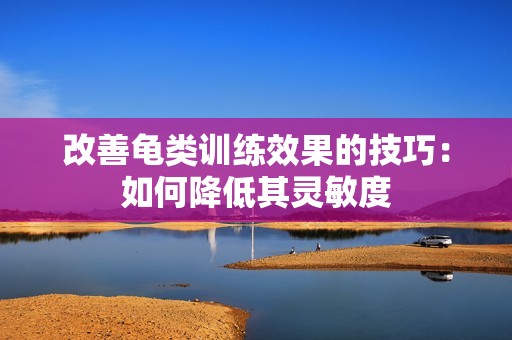 改善龟类训练效果的技巧：如何降低其灵敏度