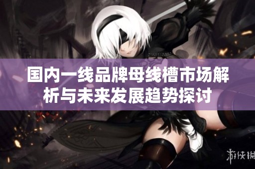 国内一线品牌母线槽市场解析与未来发展趋势探讨