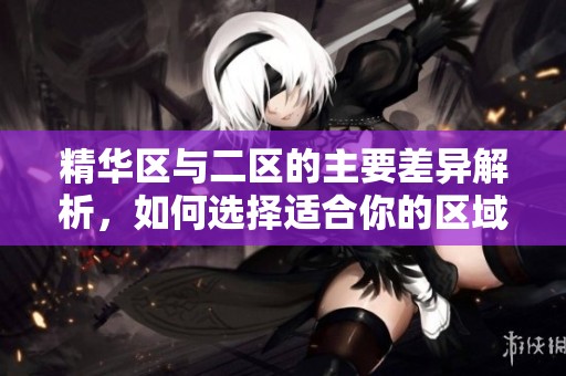 精华区与二区的主要差异解析，如何选择适合你的区域