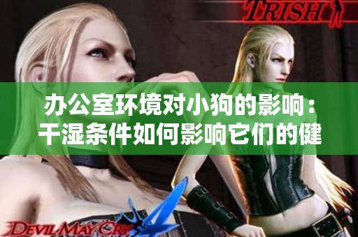 办公室环境对小狗的影响：干湿条件如何影响它们的健康与快乐