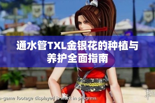 通水管TXL金银花的种植与养护全面指南