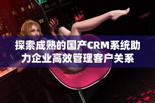 探索成熟的国产CRM系统助力企业高效管理客户关系