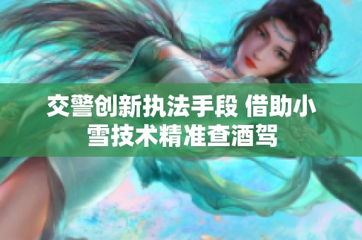 交警创新执法手段 借助小雪技术精准查酒驾
