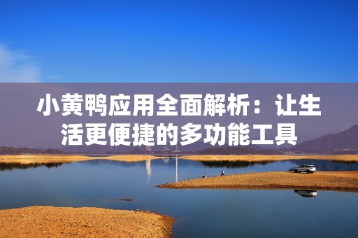 小黄鸭应用全面解析：让生活更便捷的多功能工具
