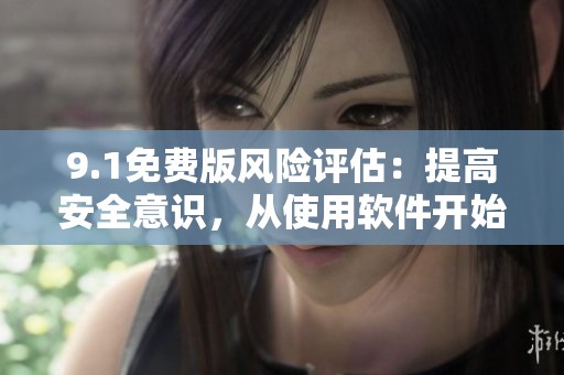 9.1免费版风险评估：提高安全意识，从使用软件开始