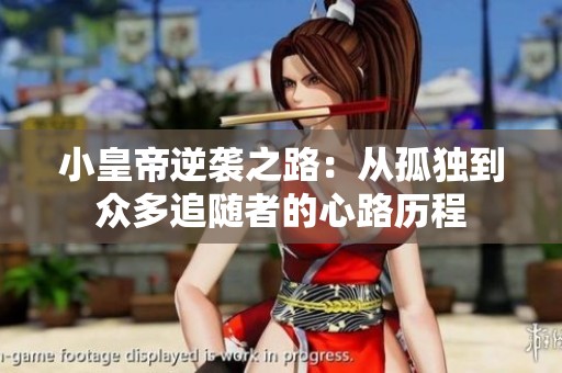 小皇帝逆袭之路：从孤独到众多追随者的心路历程