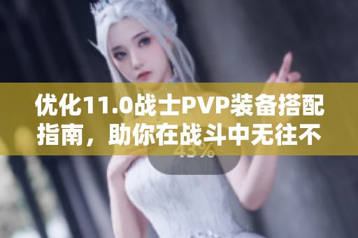 优化11.0战士PVP装备搭配指南，助你在战斗中无往不胜
