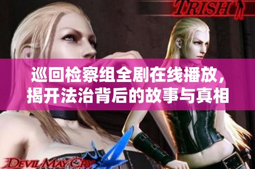 巡回检察组全剧在线播放，揭开法治背后的故事与真相
