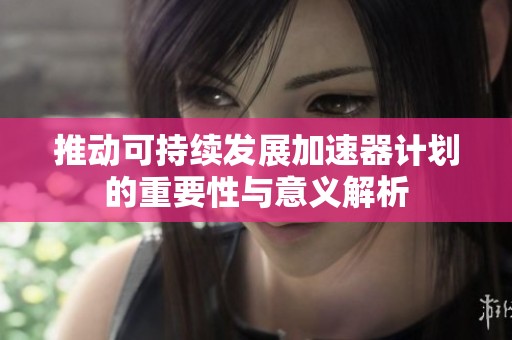推动可持续发展加速器计划的重要性与意义解析