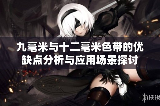 九毫米与十二毫米色带的优缺点分析与应用场景探讨
