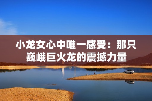 小龙女心中唯一感受：那只巍峨巨火龙的震撼力量