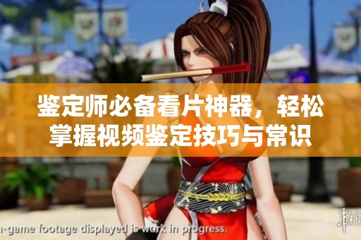 鉴定师必备看片神器，轻松掌握视频鉴定技巧与常识