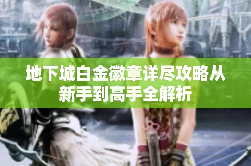 地下城白金徽章详尽攻略从新手到高手全解析