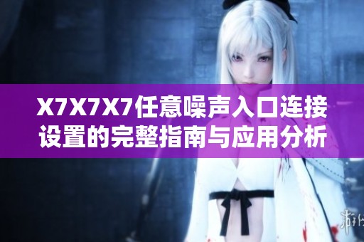 X7X7X7任意噪声入口连接设置的完整指南与应用分析