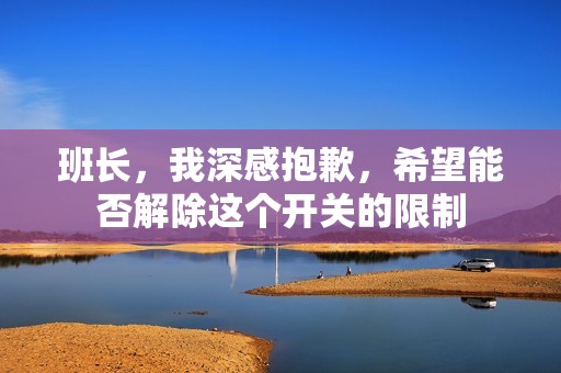 班长，我深感抱歉，希望能否解除这个开关的限制