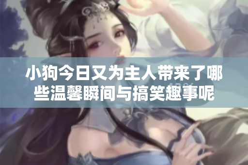 小狗今日又为主人带来了哪些温馨瞬间与搞笑趣事呢