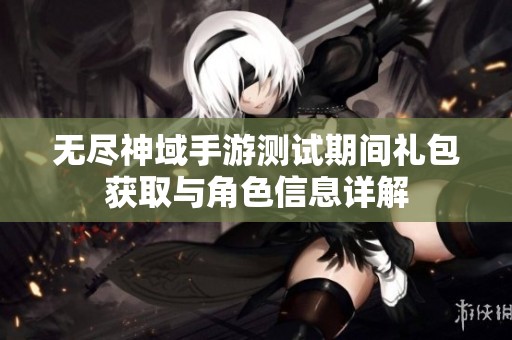 无尽神域手游测试期间礼包获取与角色信息详解