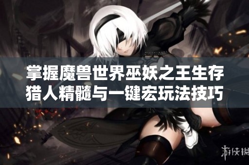 掌握魔兽世界巫妖之王生存猎人精髓与一键宏玩法技巧