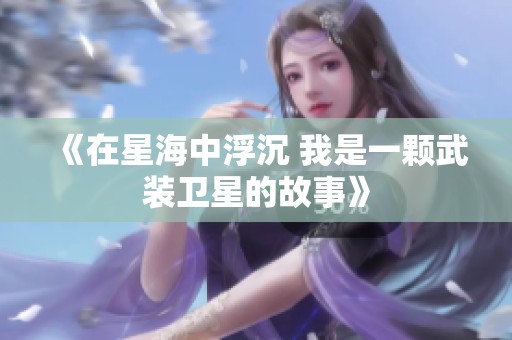《在星海中浮沉 我是一颗武装卫星的故事》