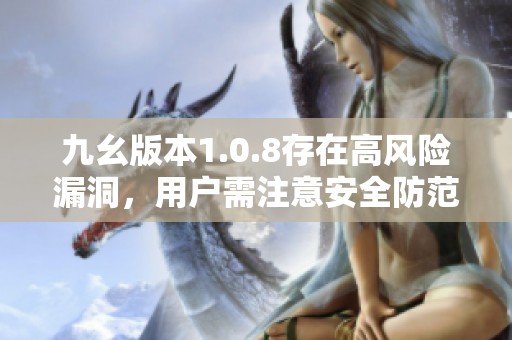 九幺版本1.0.8存在高风险漏洞，用户需注意安全防范措施