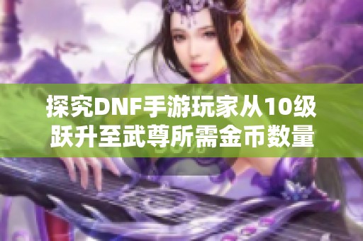探究DNF手游玩家从10级跃升至武尊所需金币数量