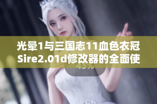 光晕1与三国志11血色衣冠Sire2.01d修改器的全面使用指南与技巧详解