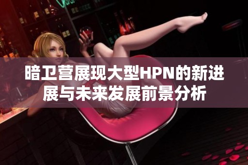 暗卫营展现大型HPN的新进展与未来发展前景分析
