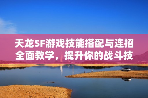 天龙SF游戏技能搭配与连招全面教学，提升你的战斗技巧