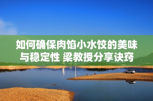 如何确保肉馅小水饺的美味与稳定性 梁教授分享诀窍