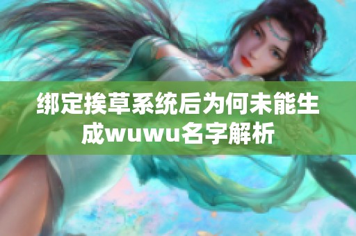 绑定挨草系统后为何未能生成wuwu名字解析