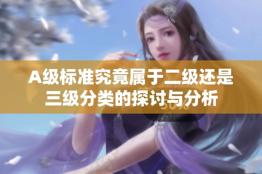 A级标准究竟属于二级还是三级分类的探讨与分析