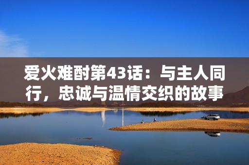 爱火难酎第43话：与主人同行，忠诚与温情交织的故事