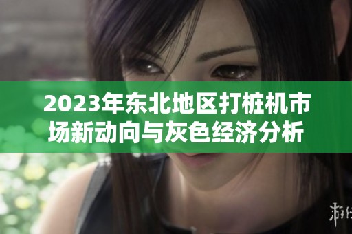 2023年东北地区打桩机市场新动向与灰色经济分析