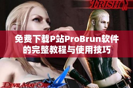 免费下载P站ProBrun软件的完整教程与使用技巧