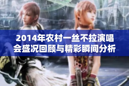 2014年农村一丝不拉演唱会盛况回顾与精彩瞬间分析
