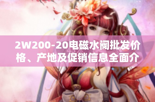 2W200-20电磁水阀批发价格、产地及促销信息全面介绍
