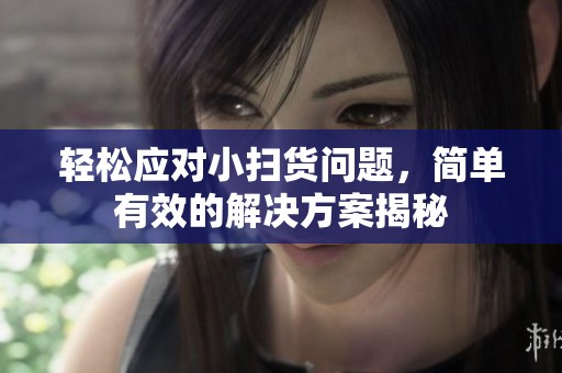 轻松应对小扫货问题，简单有效的解决方案揭秘