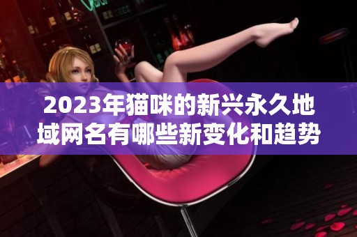 2023年猫咪的新兴永久地域网名有哪些新变化和趋势