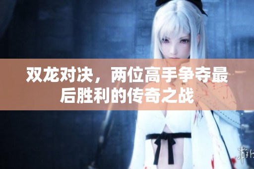 双龙对决，两位高手争夺最后胜利的传奇之战