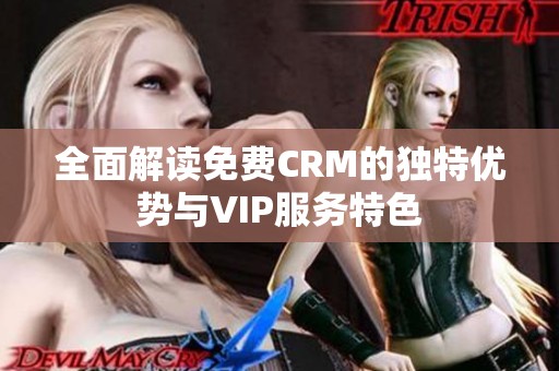 全面解读免费CRM的独特优势与VIP服务特色