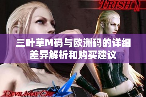 三叶草M码与欧洲码的详细差异解析和购买建议