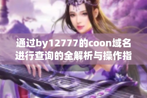 通过by12777的coon域名进行查询的全解析与操作指南