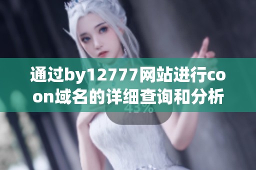 通过by12777网站进行coon域名的详细查询和分析