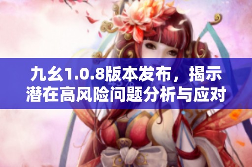 九幺1.0.8版本发布，揭示潜在高风险问题分析与应对策略