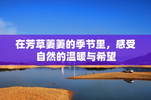 在芳草萋萋的季节里，感受自然的温暖与希望