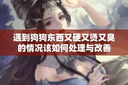 遇到狗狗东西又硬又烫又臭的情况该如何处理与改善