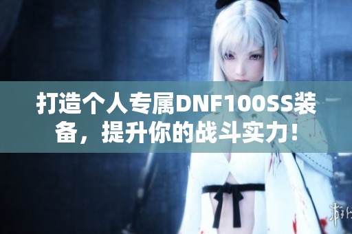打造个人专属DNF100SS装备，提升你的战斗实力！