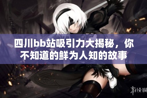四川bb站吸引力大揭秘，你不知道的鲜为人知的故事